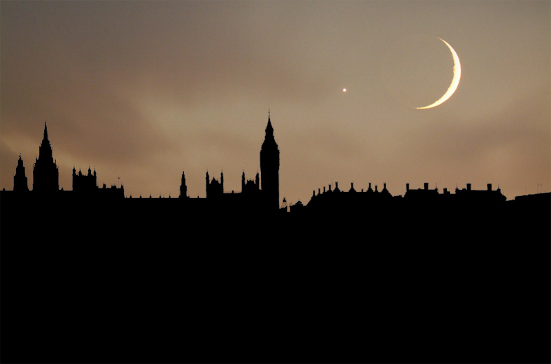 London Nights backdrop 